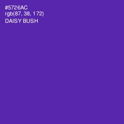 #5726AC - Daisy Bush Color Image